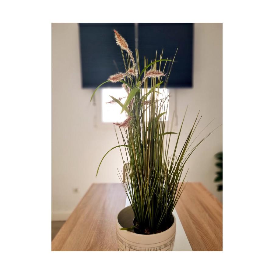 Apartamento Con Sol De Paz 토레몰리노스 외부 사진